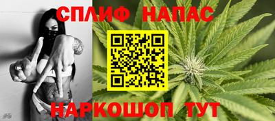 прущие грибы Балашиха