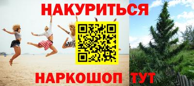 прущие грибы Балашиха