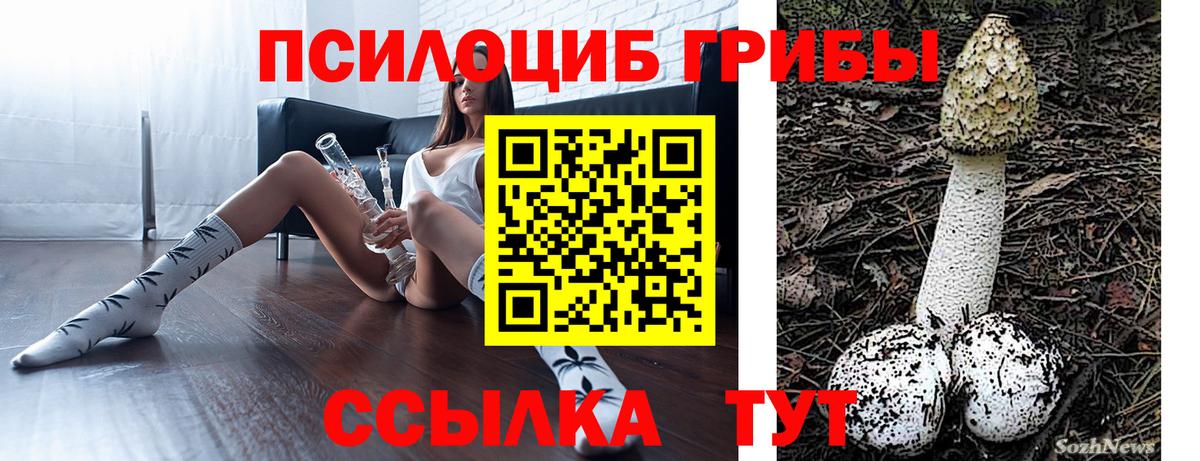 Галлюциногенные грибы Psilocybine cubensis Егорьевск