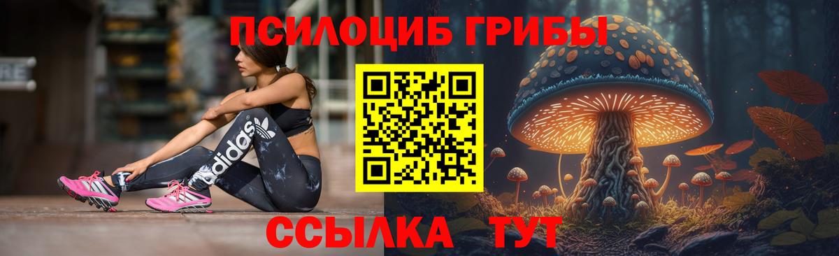 Псилоцибиновые грибы GOLDEN TEACHER  Вход с VPN  Галлюциногенные грибы Cubensis  Егорьевск 